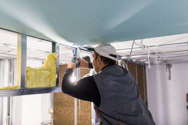 Best DIY Insulation Kits and Guidance in Morristown, TN
