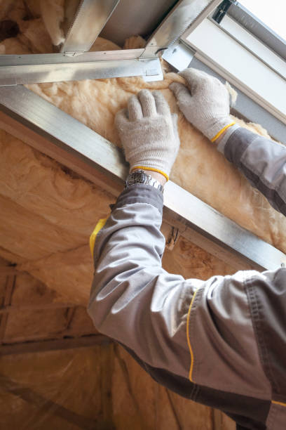 Best Residential Insulation in Morristown, TN